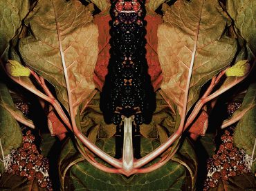 Pale Grain + Maskinrum